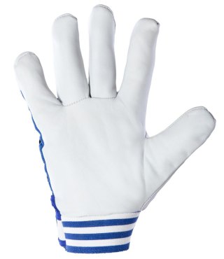 CABRA BLUE KAT. II