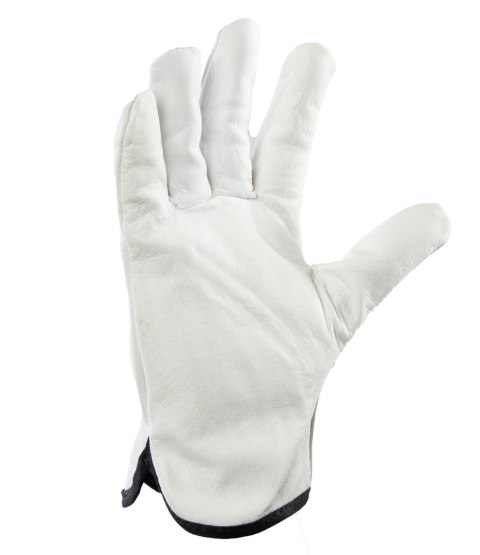 G-DRIVE SKÓRA KOZIA