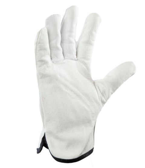 DRIVE SKÓRA BYDLĘCA