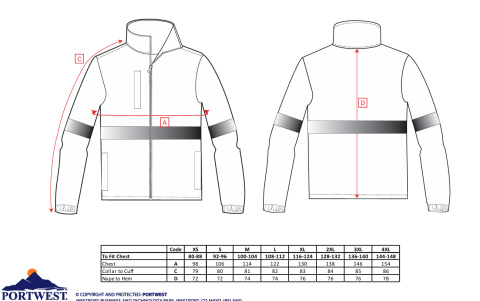 Polar Iona Lite F433